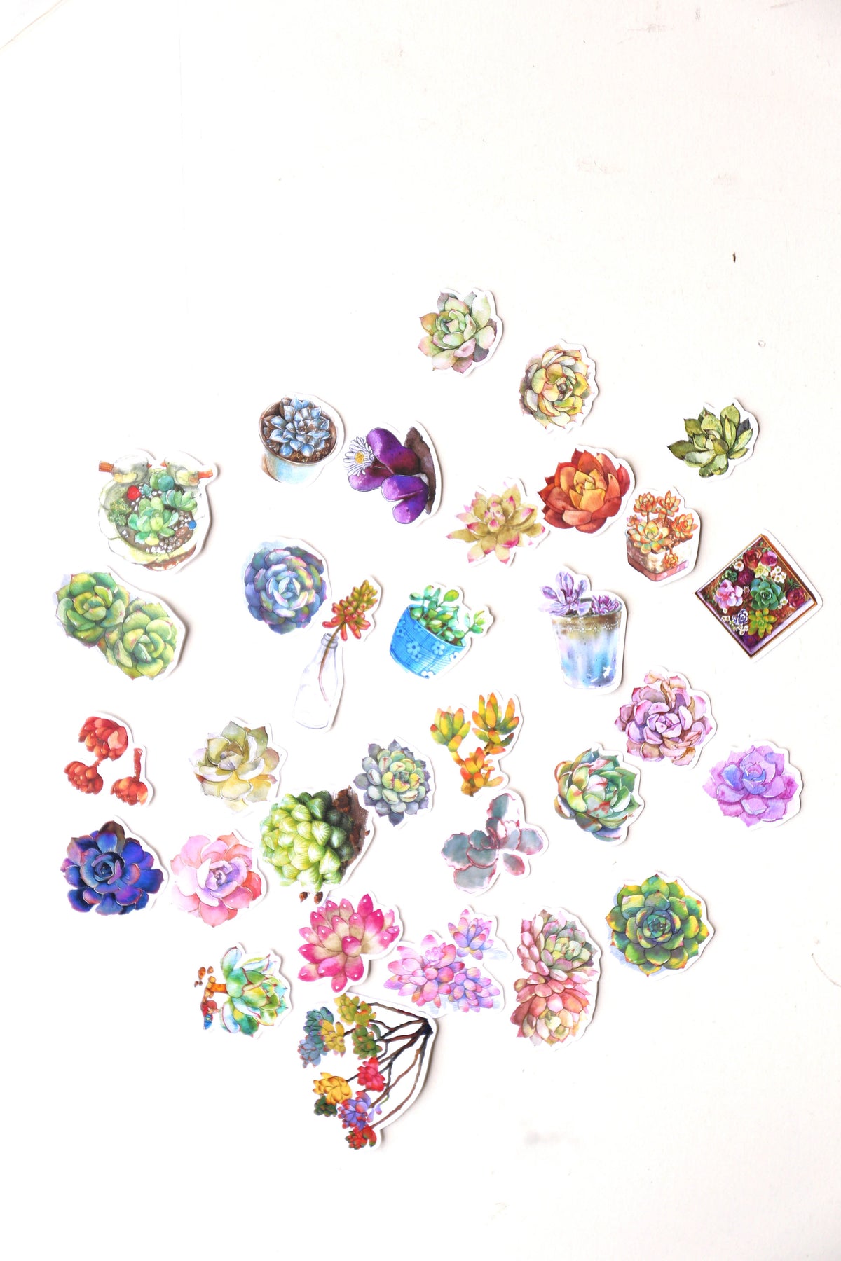 Succulent plants  stickers set/ Planner Stickers/ Filofax Stickers/Lap top stickers/Scrapbook Sticker/OS064