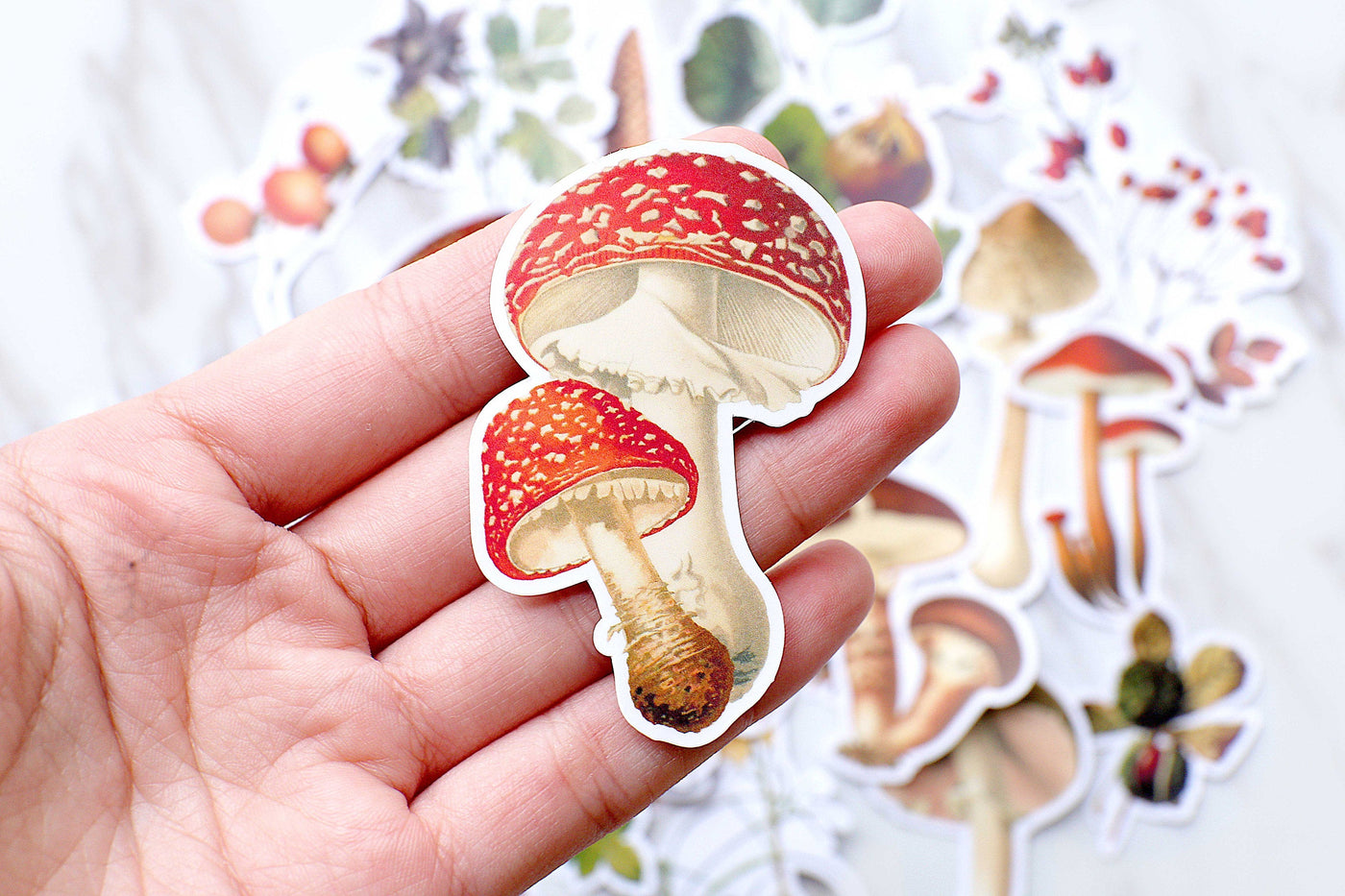 cute Mushroom stickers set/  Vegetables Planner Stickers/ Filofax Stickers/radish stickers /plant stickers/tree stickers