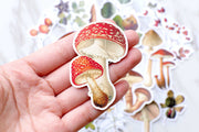 cute Mushroom stickers set/  Vegetables Planner Stickers/ Filofax Stickers/radish stickers /plant stickers/tree stickers
