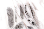Feather Clear Rubber Stamp/cute feather  Clear Stamp/feather transparent clear stamp/birthday gift clear stamp