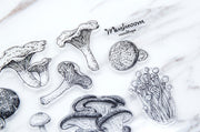 Mushroom clear Stamp/Mushroom Clear Transparent Stamp/Fungi Rubber Stamp/ Planner Bullet Journal, Fungus, Food, Nature, Forest