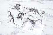 Dinosaur clear Stamp/Fossil rubber Stamp/ Illustration Stamp, Animal Stamp, Abstrack clear Stamp/Science Stamp, Skull Stamp, Wild life Stamp
