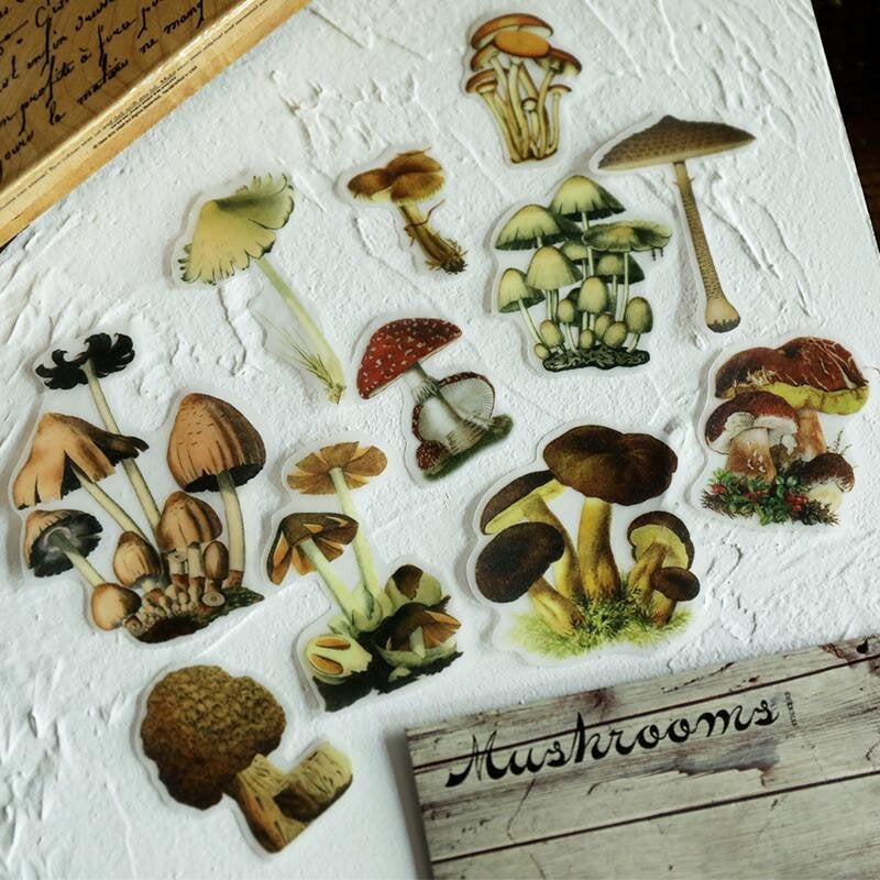 Mushroom collection Washi Stickers*100 Piece Bag of Botanical Stickers*Junk Journal, Card, Scrapbook, Planner, Collage Supply