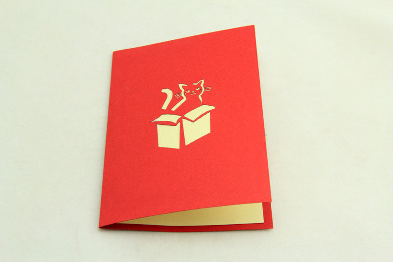 kitty in the box in  Pop up card